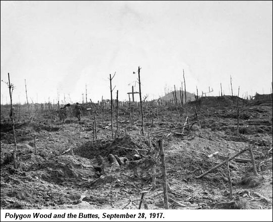 Polygon Wood Sept 28 1917 Desolate landscape with no trees.